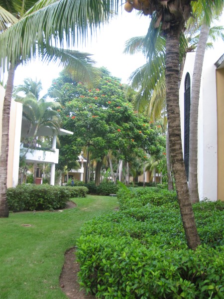 Dominican Republic 555.jpg